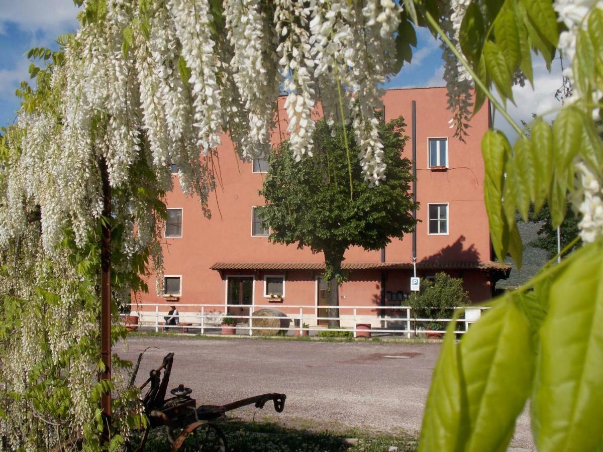 The Farm House Guidonia Exteriér fotografie